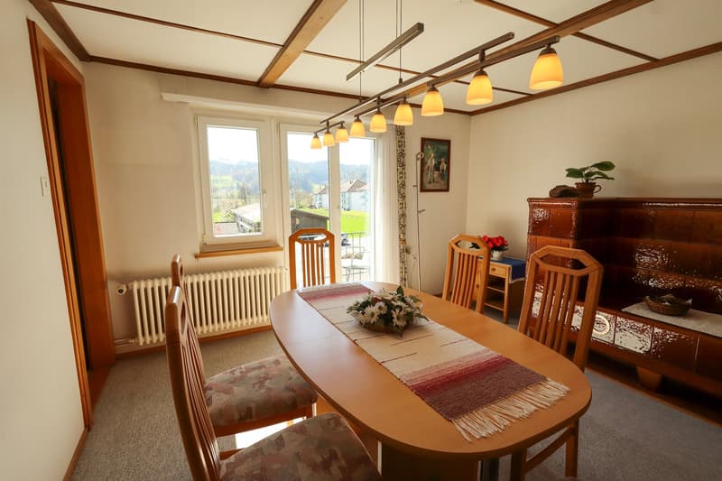 Gepflegtes, freistehendes Familienhaus mit vielseitigem Raumangebot (8)