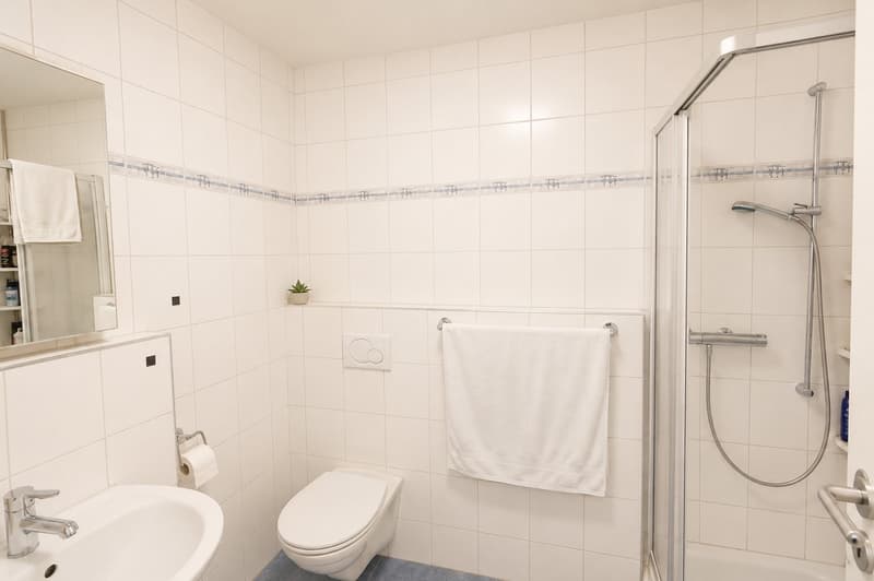 Spacious 4.5-room apartment with glazed balcony in Reinach AG (15)