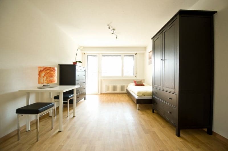 Appartement 1 pièce confortable à Kloten (3)
