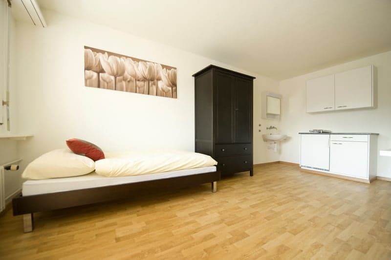 Appartement 1 pièce confortable à Kloten (2)