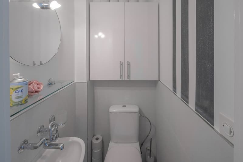 Charming 4.5 room apartment in Dielsdorf (6)