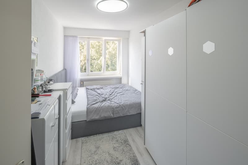 Charming 4.5 room apartment in Dielsdorf (8)