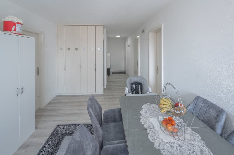 Charming 4.5 room apartment in Dielsdorf (3)