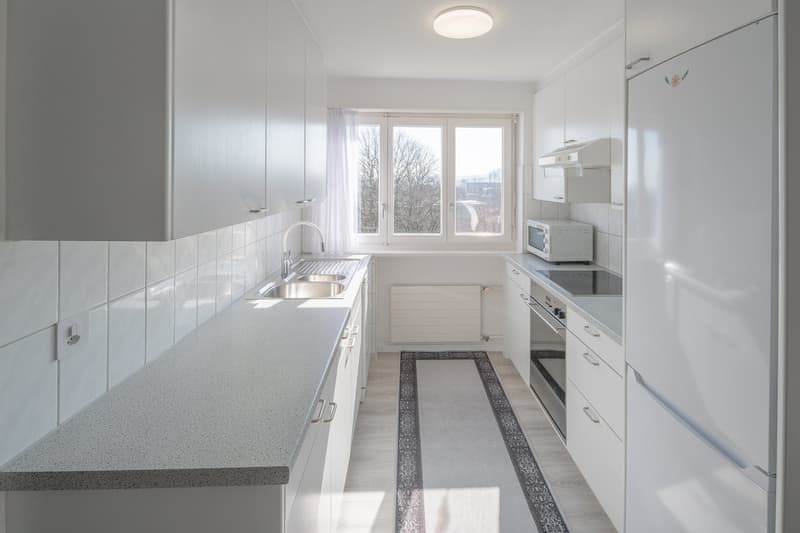 Charming 4.5 room apartment in Dielsdorf (5)