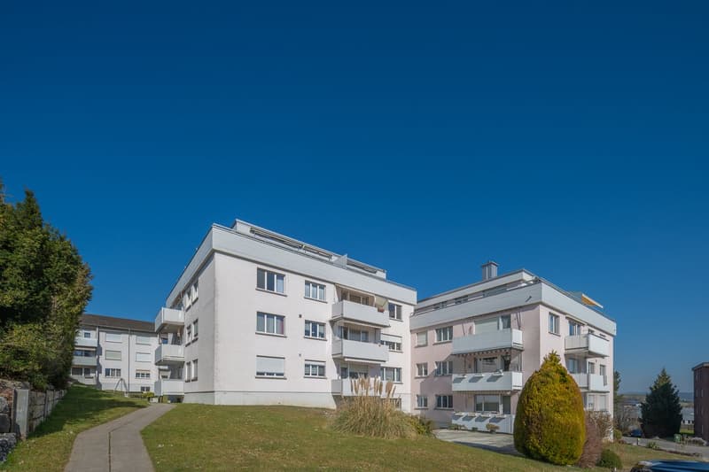 Charming 4.5 room apartment in Dielsdorf (1)