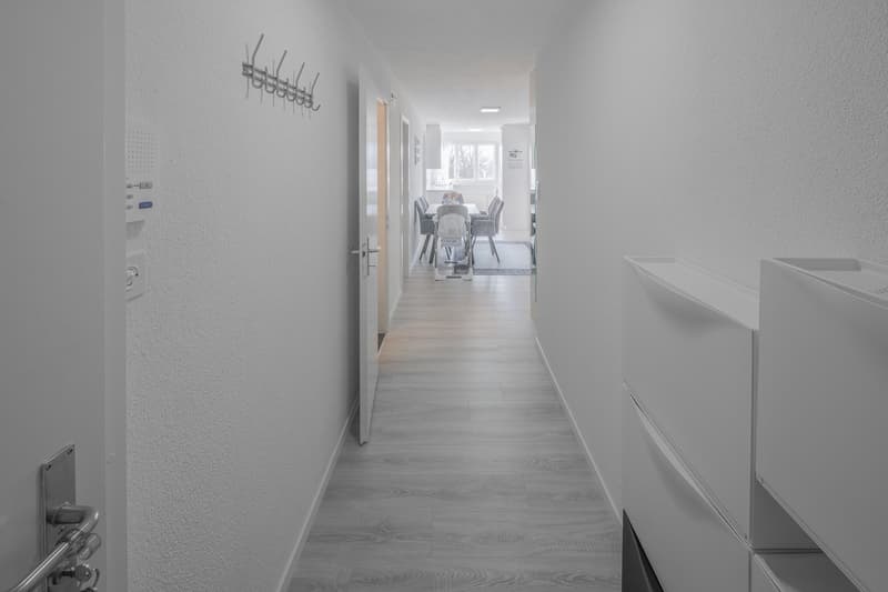 Charming 4.5 room apartment in Dielsdorf (2)