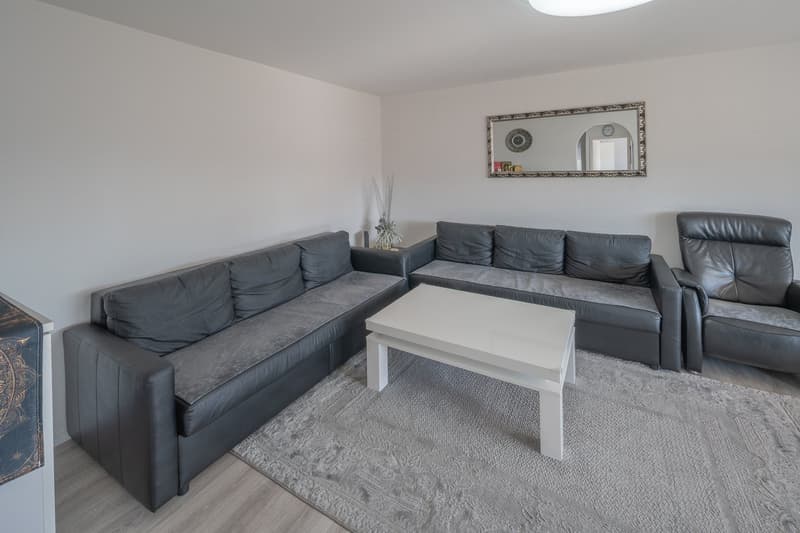 Charming 4.5 room apartment in Dielsdorf (12)