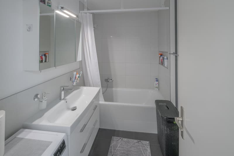 Charming 4.5 room apartment in Dielsdorf (7)