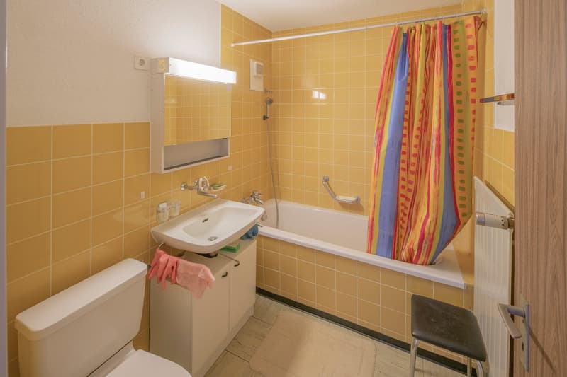 5.5-Zimmer-Wohnung zum renovieren in Oberhasli - erfüllen Sie sich Ihren Wunsch (11)