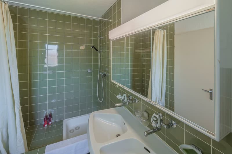 5.5-Zimmer-Wohnung zum renovieren in Oberhasli - erfüllen Sie sich Ihren Wunsch (8)