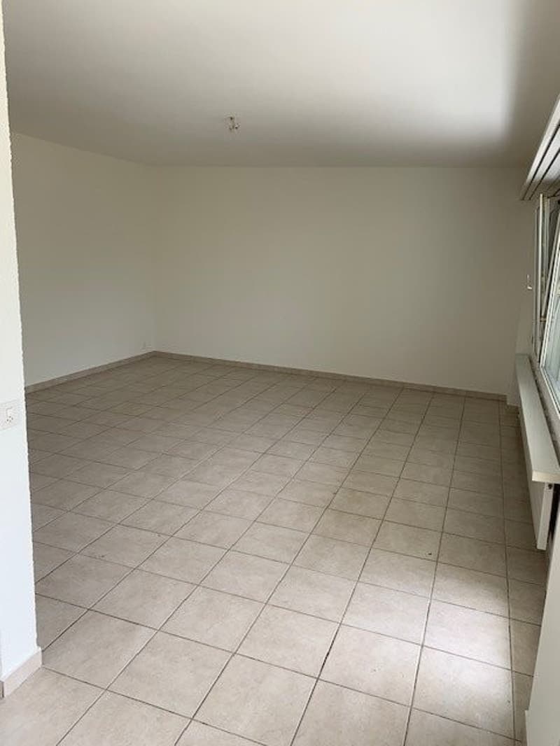 Wohn-Schlafzimmer2