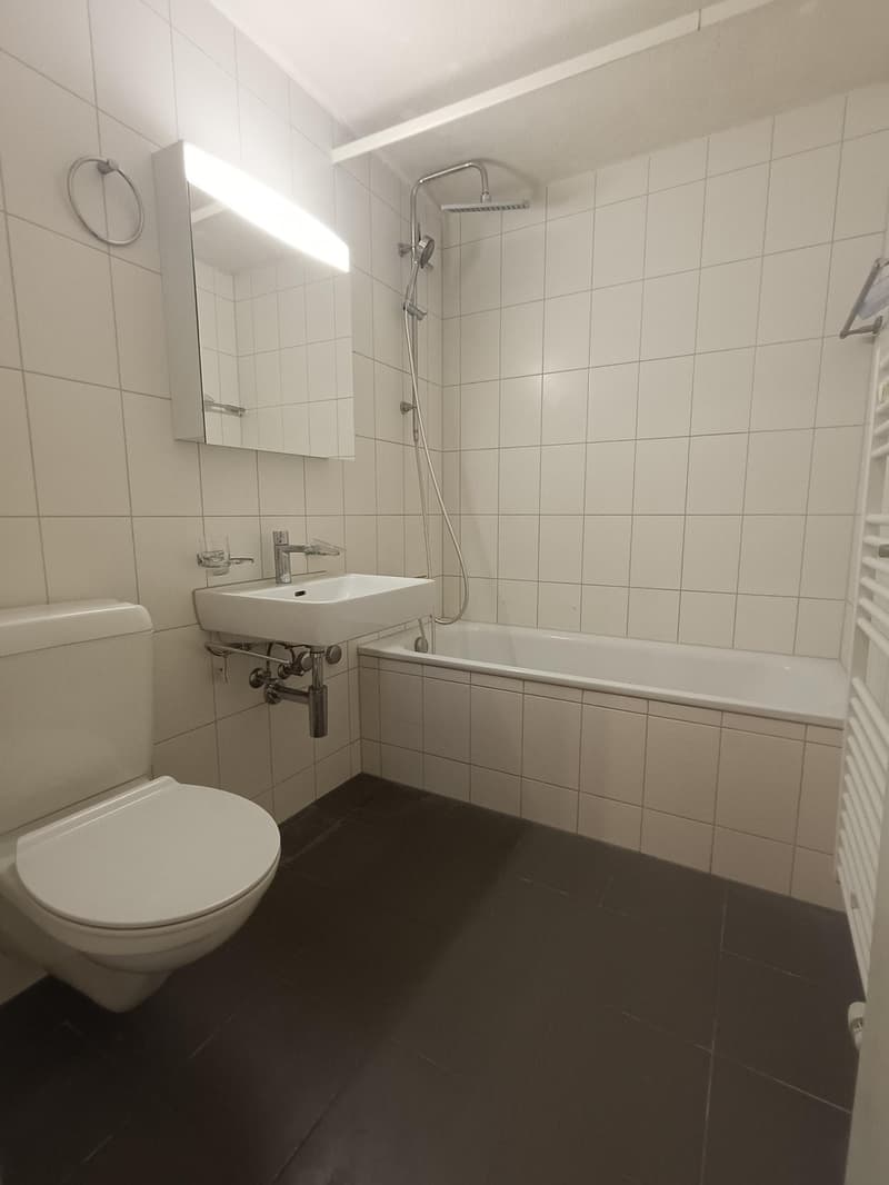 Grüsszügige, helle Wohnung an bester Lage in Schlieren (8)