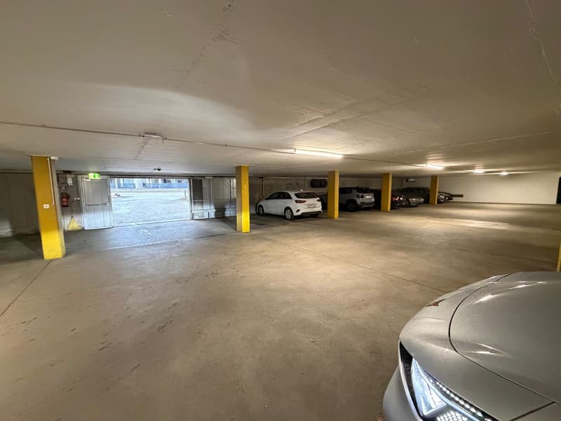 Parcheggi in garage in affitto (1)