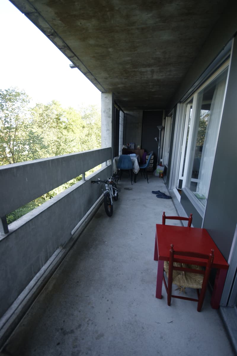 Appartement lumineux 3.5 pièces (7)