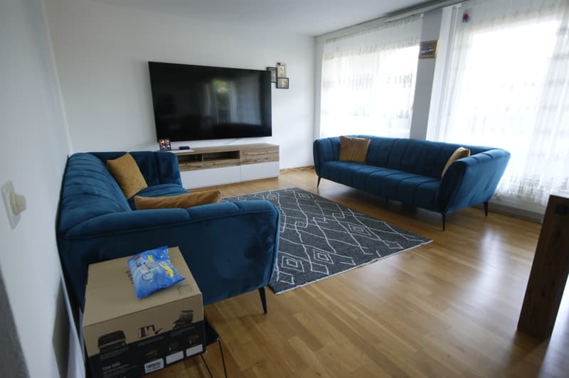 Appartement lumineux 3.5 pièces (5)