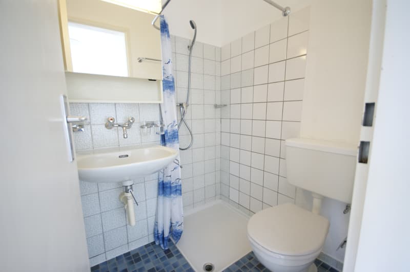1-Zimmer Studio mit Bad und Balkon (möbliert) (3)