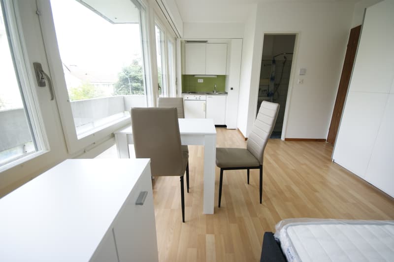 1-Zimmer Studio mit Bad und Balkon (möbliert) (2)