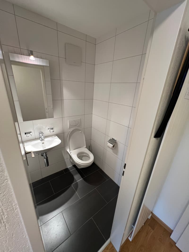 3.5 room apartment in a preferred location in Bassersdorf (8)