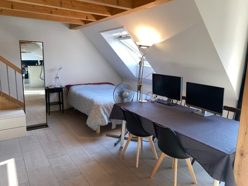 Charmante 2.5-Zimmer-Dachwohnung (Maisonette) (7)