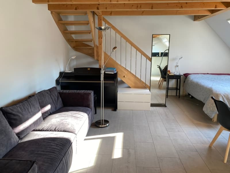 Charmante 2.5-Zimmer-Dachwohnung (Maisonette) (2)