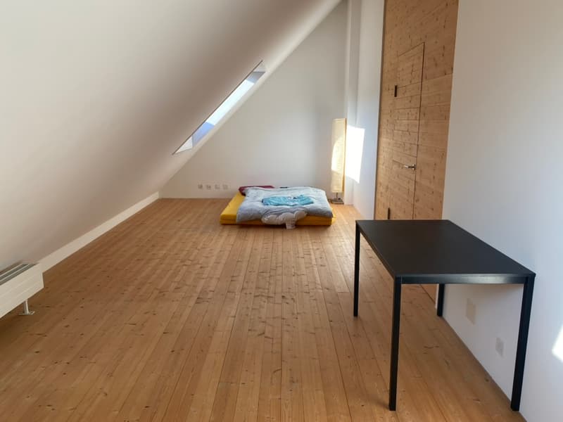 Charmante 2.5-Zimmer-Dachwohnung (Maisonette) (8)