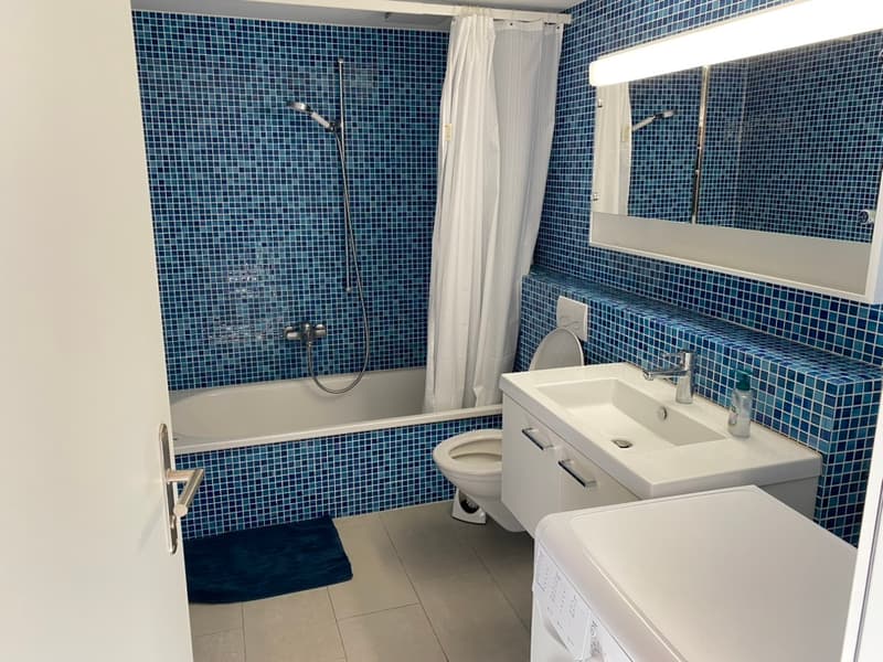 Charmante 2.5-Zimmer-Dachwohnung (Maisonette) (9)