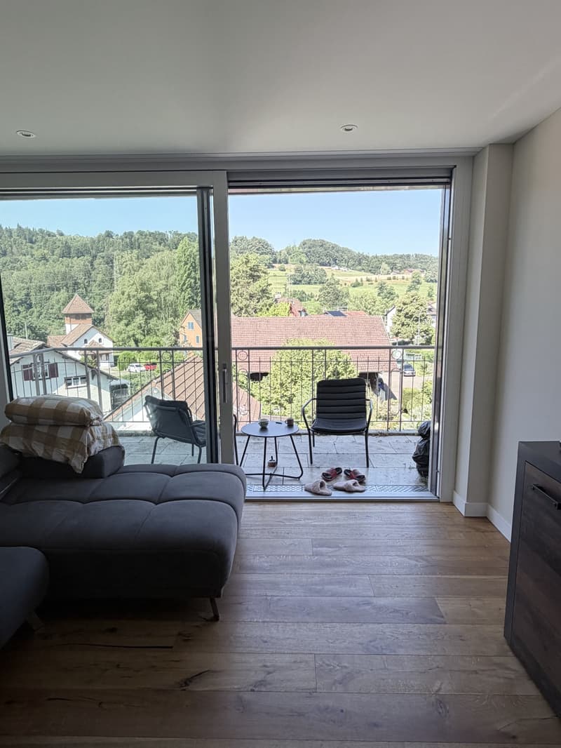 Neubau 2.5-Zimmerwohnung mit Balkon (2)