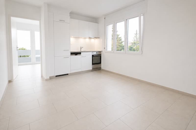 2-Zimmer-Wohnung mit zwei Balkonen in Zürich-Altstetten (2)