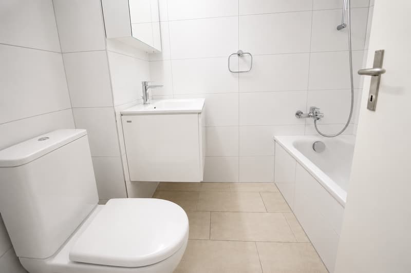 2-Zimmer-Wohnung mit zwei Balkonen in Zürich-Altstetten (4)