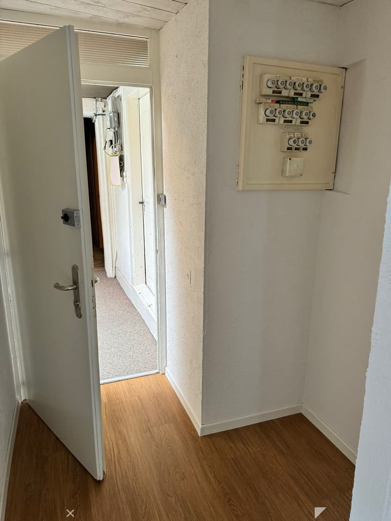 Charmante 4-Zimmerwohnung im Herzen von Biel (6)