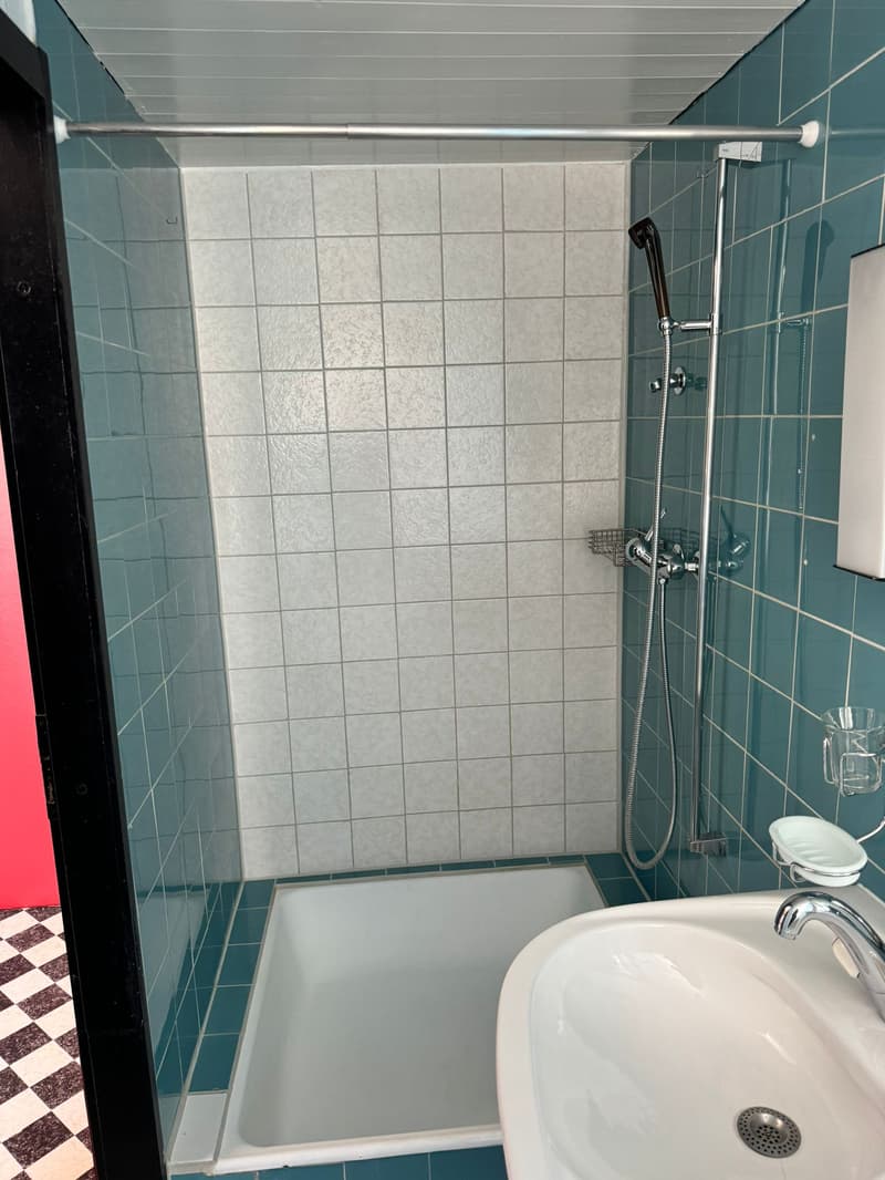 Charmante 4-Zimmerwohnung im Herzen von Biel (11)