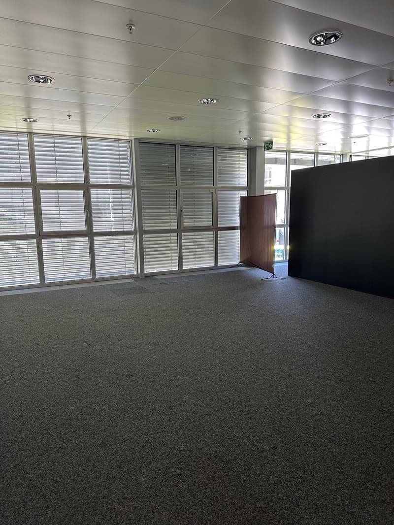 empty room with carpeted floor, white ceiling with lights, tall windows with blinds, and two room dividers