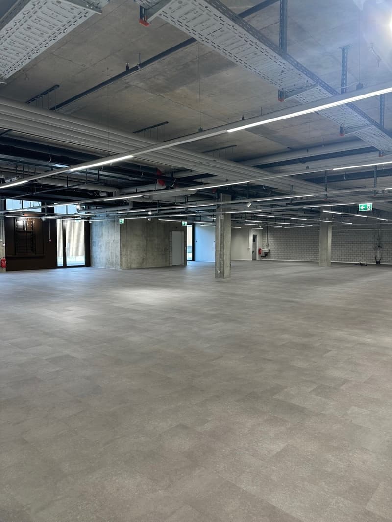 Espace commercial à un emplacement idéal près de l'aéroport de Zurich (2)