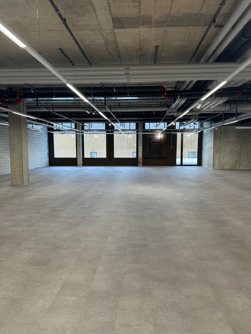 Espace commercial à un emplacement idéal près de l'aéroport de Zurich (6)
