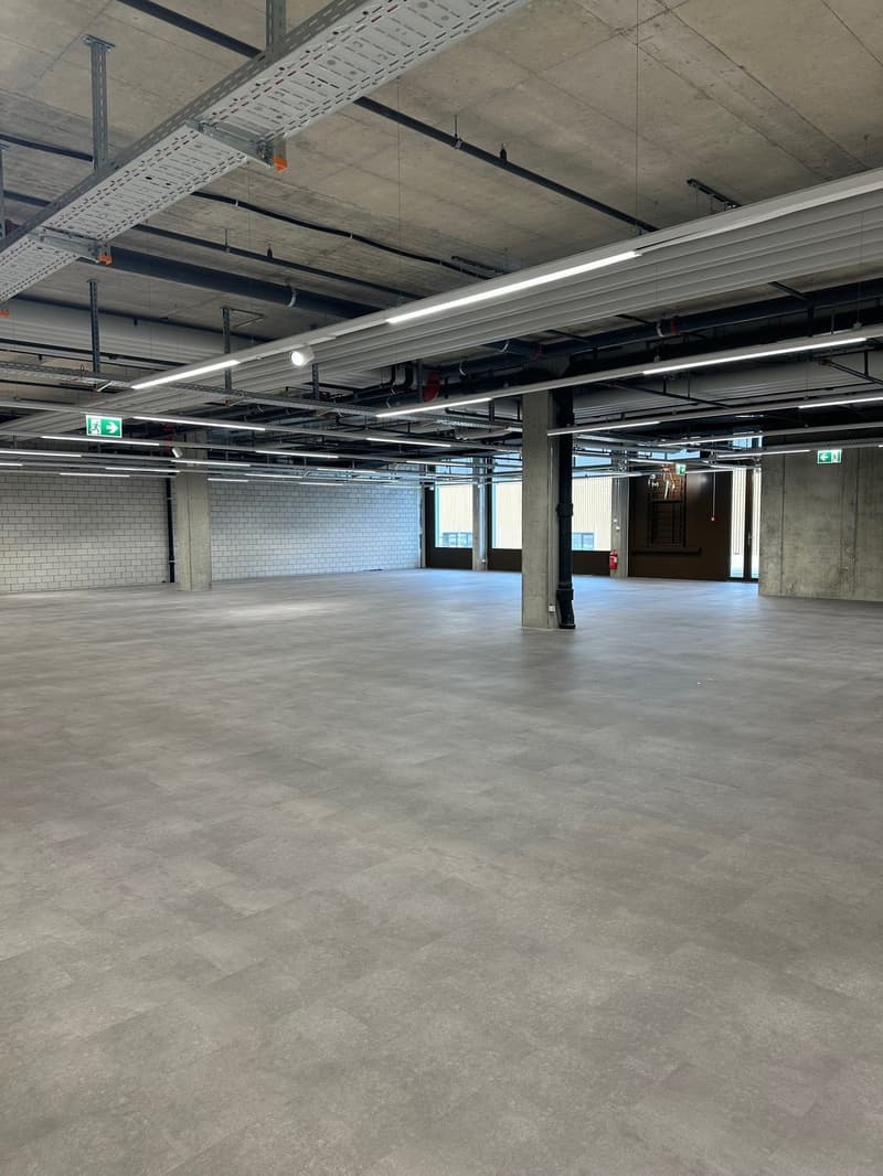 Espace commercial à un emplacement idéal près de l'aéroport de Zurich (7)