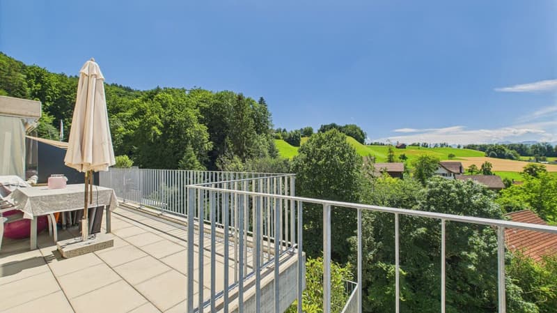 Exclusive terrace apartment with breathtaking panorama (2)