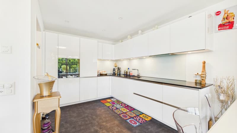 Exclusive terrace apartment with breathtaking panorama (12)