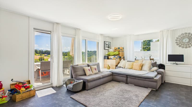 Exclusive terrace apartment with breathtaking panorama (8)