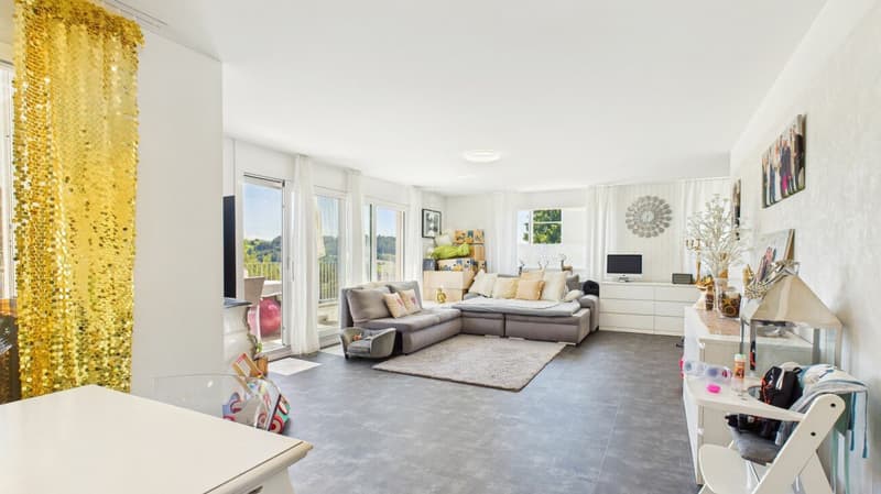 Exclusive terrace apartment with breathtaking panorama (9)