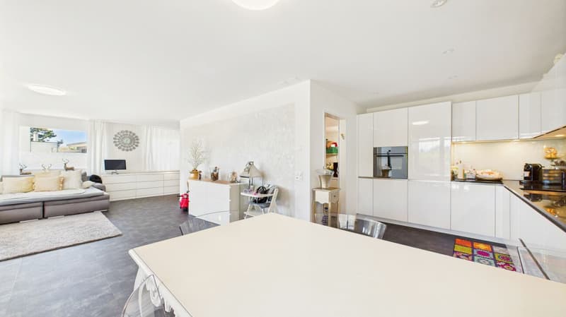 Exclusive terrace apartment with breathtaking panorama (11)