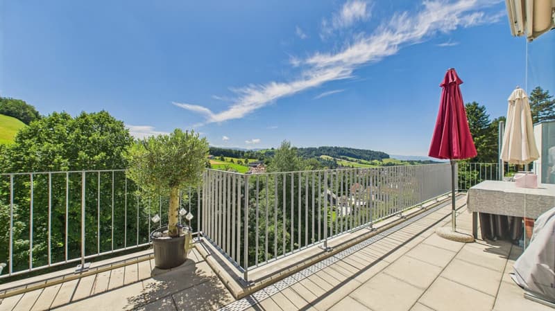 Exclusive terrace apartment with breathtaking panorama (1)