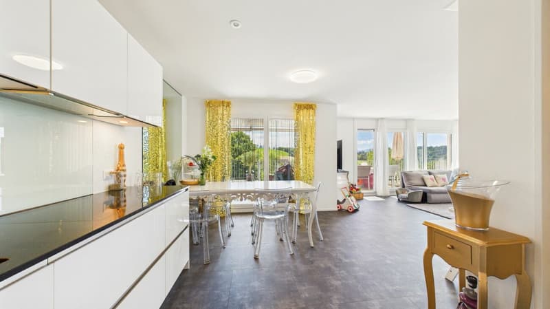 Exclusive terrace apartment with breathtaking panorama (13)
