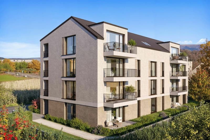 Appartamenti con giardino e spazio esterno privato a Killwangen (2)