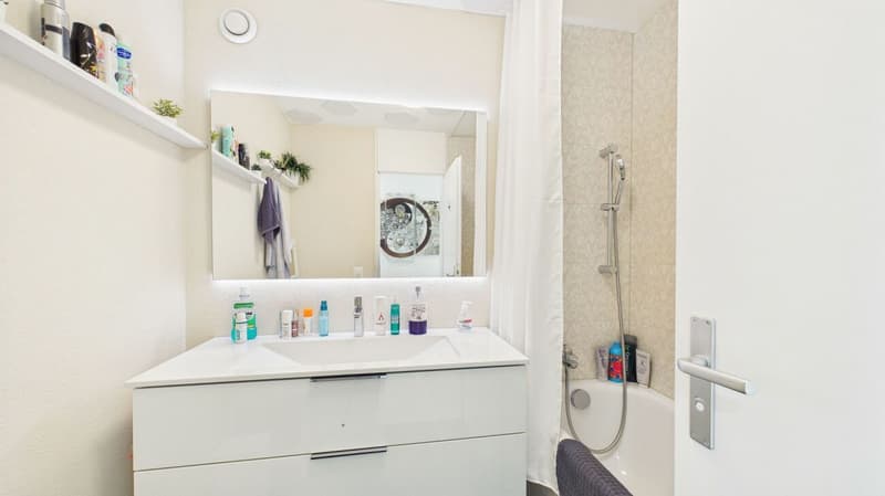 Stylish living in a quiet and central location in Dietikon (12)