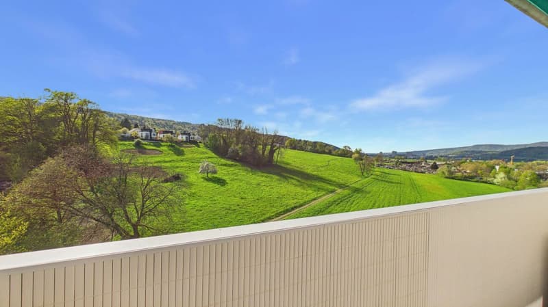 Stylish living in a quiet and central location in Dietikon (14)