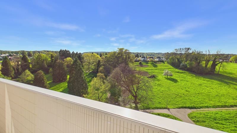 Stylish living in a quiet and central location in Dietikon (16)