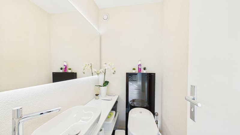 Stylish living in a quiet and central location in Dietikon (13)
