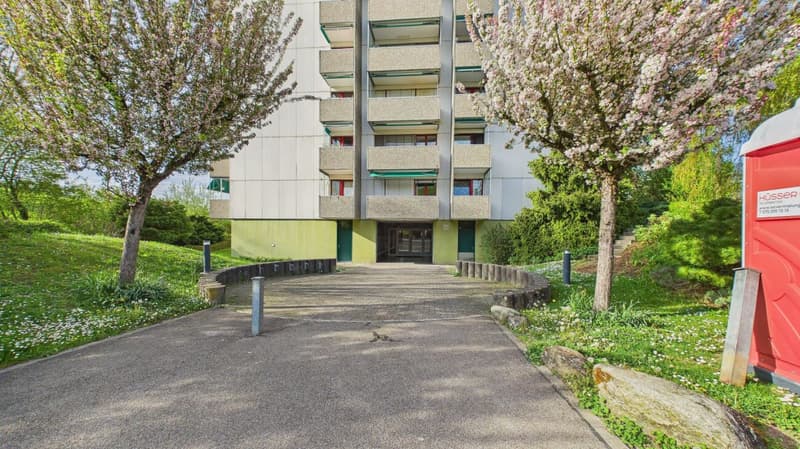 Stylish living in a quiet and central location in Dietikon (17)
