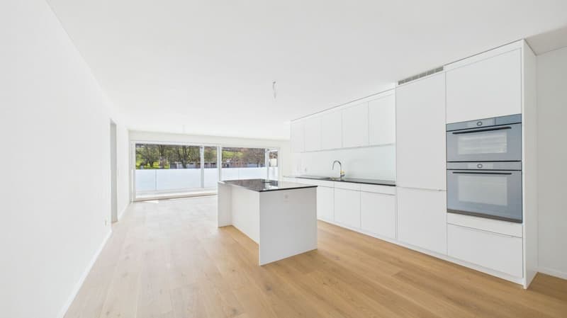 Licht, Aussicht und Lage - modernes Wohnen in Dietikon (7)