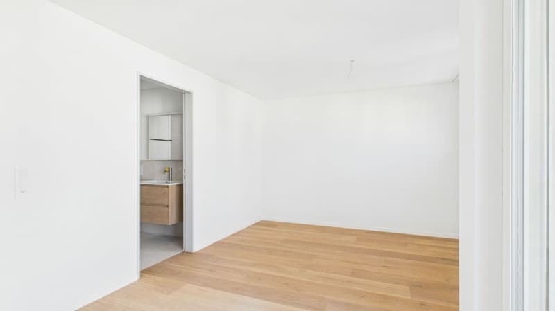 Licht, Aussicht und Lage - modernes Wohnen in Dietikon (8)